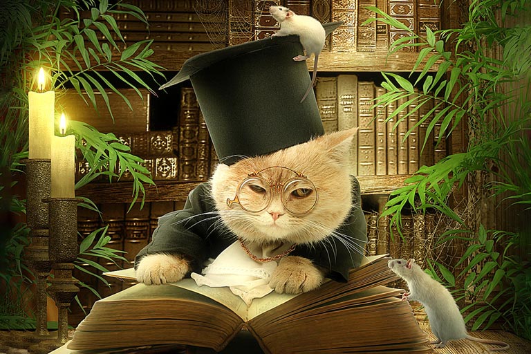БУК – библиотека ученого кота