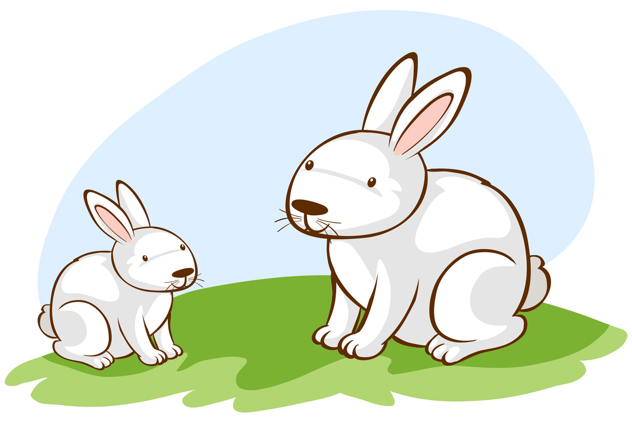 Сказка про кролика
